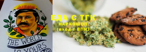 индика Заволжье