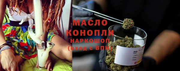 индика Заволжье