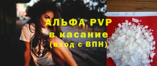 индика Заволжье