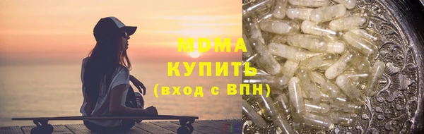 индика Заволжье