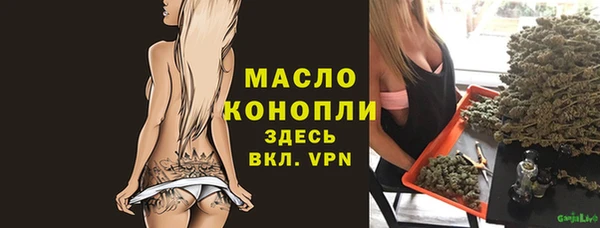 индика Заволжье