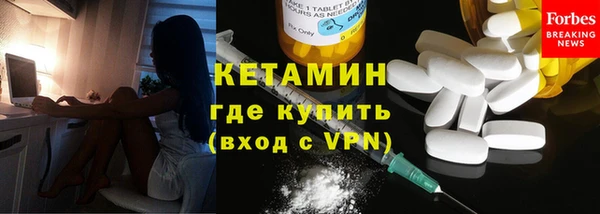 индика Заволжье