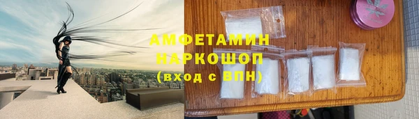 индика Заволжье
