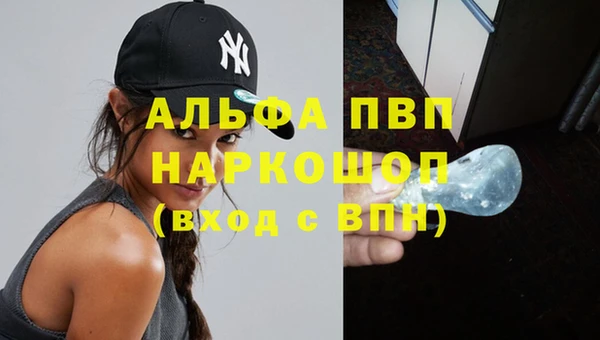 индика Заволжье