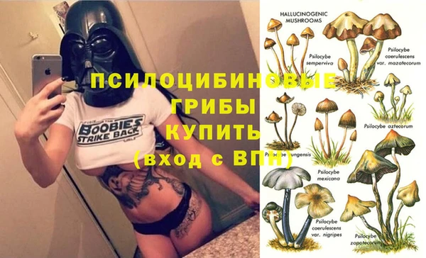 кристаллы Заводоуковск