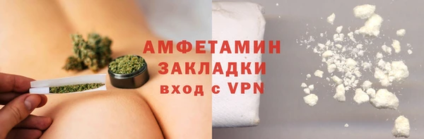 индика Заволжье