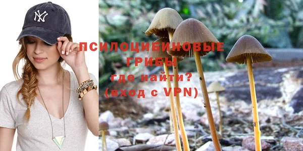ECSTASY Заволжск
