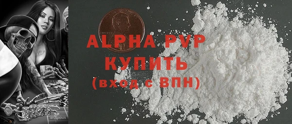 индика Заволжье