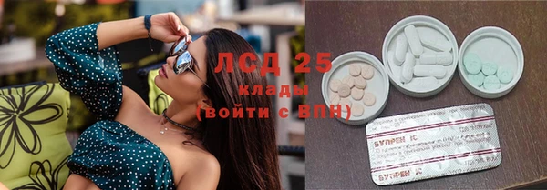 индика Заволжье