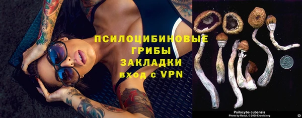 кристаллы Заводоуковск